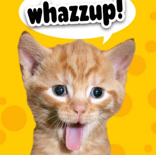 Donna Moore Photo 19