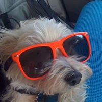 Ella Andersen Photo 2