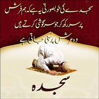 Gulzar Ahmad Photo 36