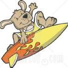 Beau Morgan Photo 16