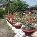 Loc Luu Photo 28