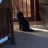 Tracey Snyder Photo 32