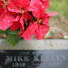 Cal Kelley Photo 6