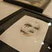 Daniel Monk Photo 16