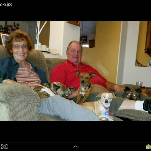 Sheila Harvey Photo 34