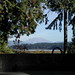 Helene Silver Photo 8