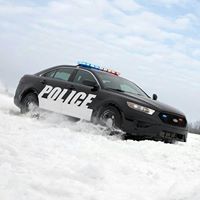 Bill Wang Photo 33