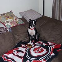 Alan Wolfe Photo 16 Alan Wolfe Photo 16