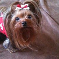 Paula Best Photo 11