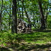 Jefferson Murphy Photo 11