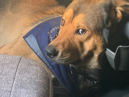 Donald Tyler Photo 12