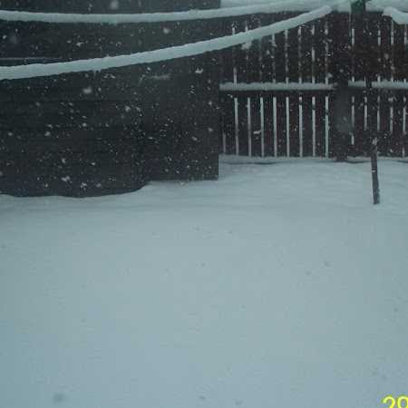 Catherine Mcmanus Photo 17