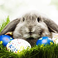 Janet Neitzke Photo 2