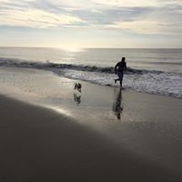 Scott Mcconnell Photo 38