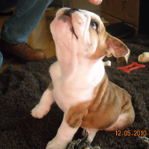 Donald Riddle Photo 5