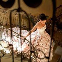 Susan Ebert Photo 24 Susan Ebert Photo 24