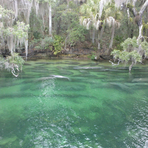 Christine Bange Photo 1