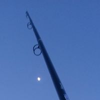 Gerald Harding Photo 5