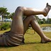 David Hom Photo 19