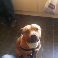 Mark Marshall Photo 22