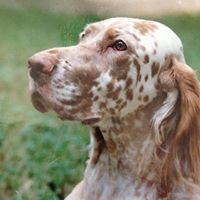 Ann Alexander Photo 45 Ann Alexander Photo 45