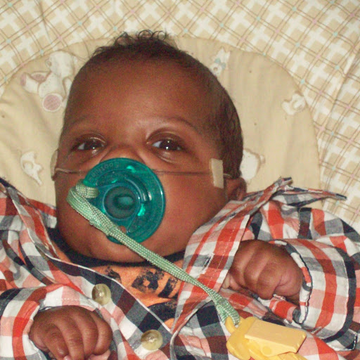 Randy Willis Photo 16