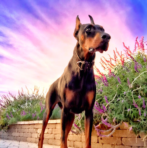 Christie Rodgers Photo 5