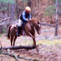 Wendy Reichert Photo 17