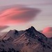 Dawn Wallis Photo 25