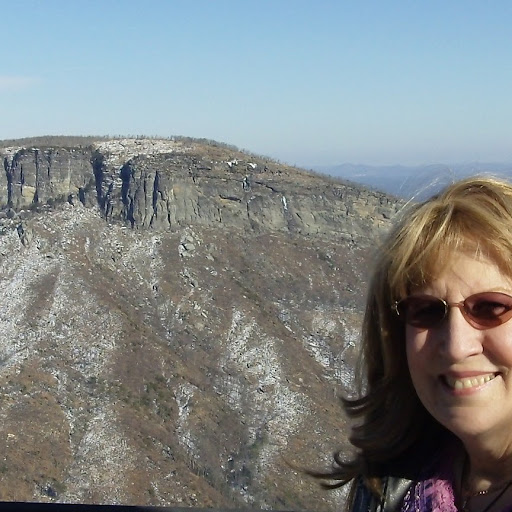 Cindy Hampton Photo 18