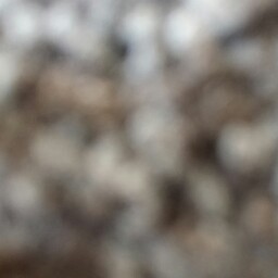 Danny Barnett Photo 35