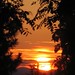 Carolyn Decker Photo 35