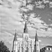 Wayne Parrish Photo 10