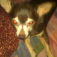 Stephen Goins Photo 8