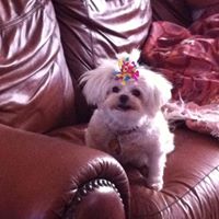 Suzanne Fritz Photo 21 Suzanne Fritz Photo 21