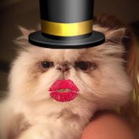 Kathleen Mills Photo 26