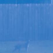 Rusty Matheny Photo 4