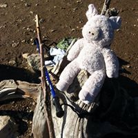 Herbert Foreman Photo 10