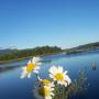 Angela Connors Photo 7