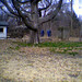 Bobbi Lawrence Photo 14