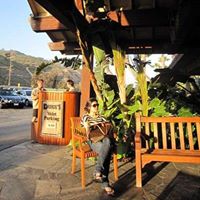 Min Yoo Photo 15