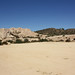 Christopher Vasquez Photo 41
