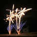 Robin Staubs Photo 9