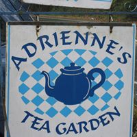 Adriene Harris Photo 11