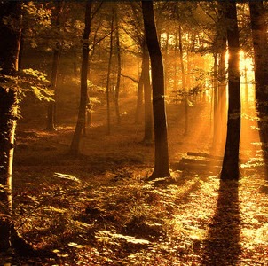 Daniel Shultz Photo 17