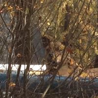 Sarah Nadeau Photo 12