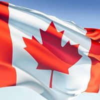 Doug Whitfield Photo 6