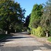 John Thorner Photo 9