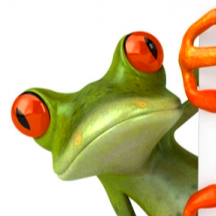 Michelle Arbogast Photo 8