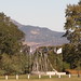 Brian Prosser Photo 20